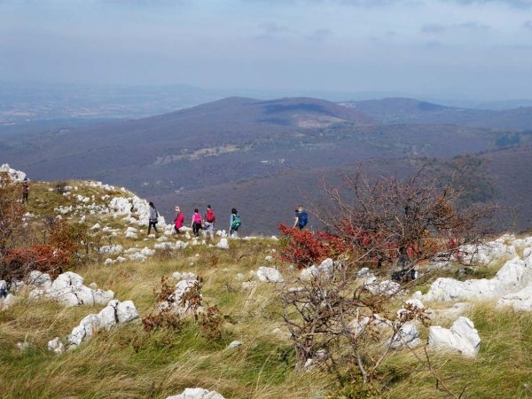planinarska-akcija-rogozna-2022-26-marta